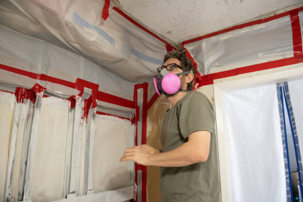 Best Asbestos and Lead Testing During Mold Inspection  in Coeur Dalene, ID