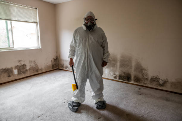 Best Industrial Mold Remediation  in Coeur Dalene, ID